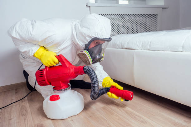 Best Flea Control Services  in Gothenburg, NE