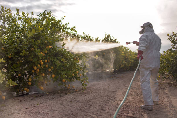 Gothenburg, NE Pest Control Company