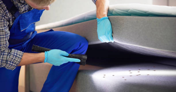 Best Pest Removal Services  in Gothenburg, NE