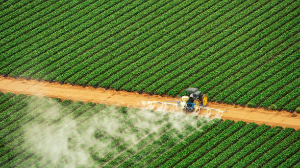 Best Pest Control Cost  in Gothenburg, NE