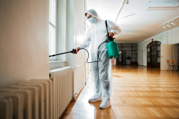 Best Termite Control Services  in Gothenburg, NE